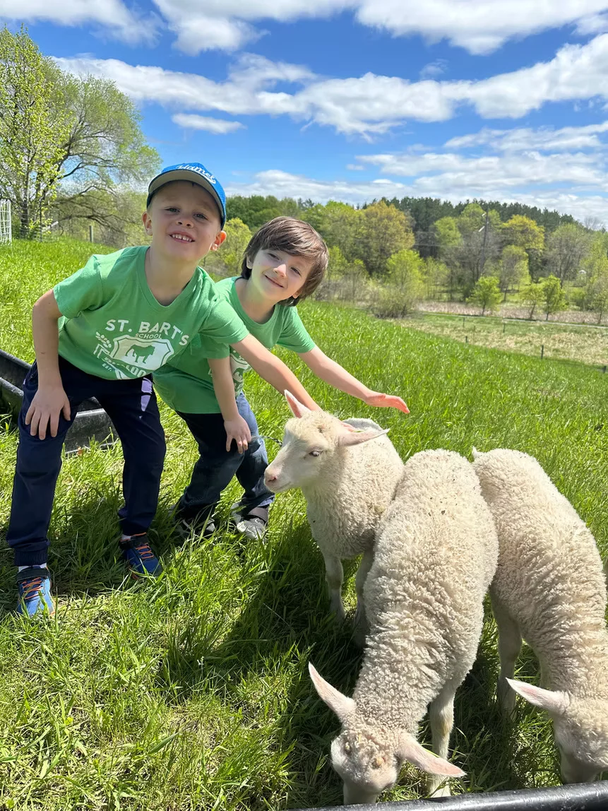 F24535 0e957ad7f7584a288c6e1cc193eb1271mv2.webp