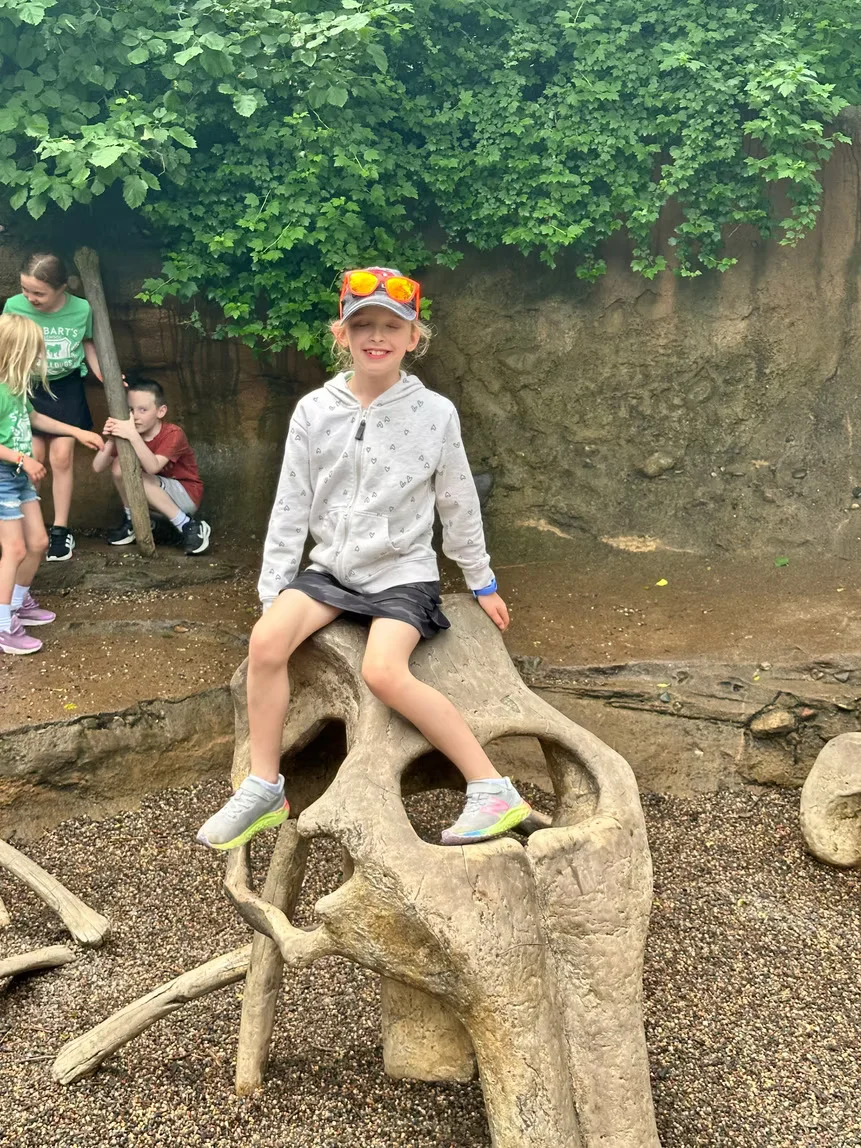 F24535 2c8b5de39890493397b9404090176dd0mv2.webp