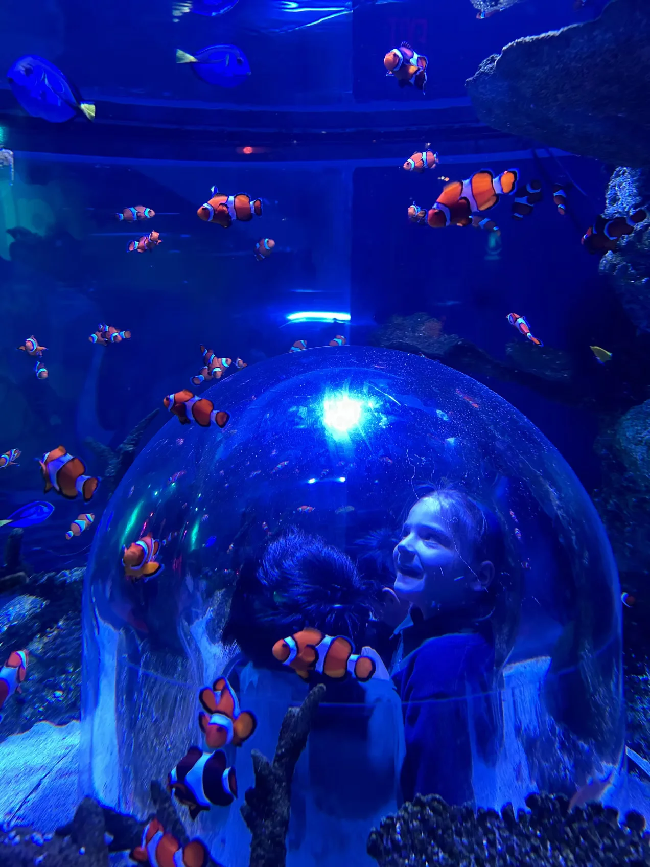 F24535 8cc7db46b91740a6b9019f6fb4bf2f2emv2.webp